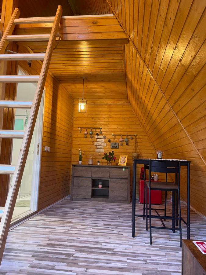 Cabane A-Frame Svinița Exterior foto