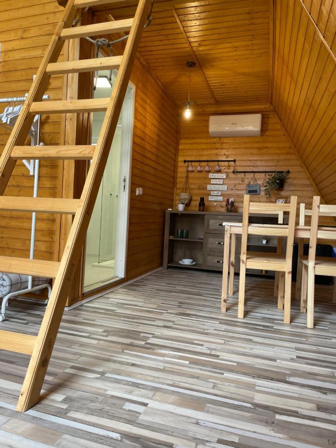 Cabane A-Frame Svinița Exterior foto