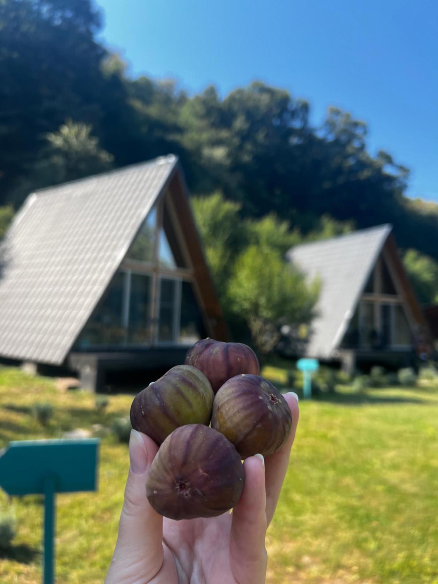 Cabane A-Frame Svinița Exterior foto