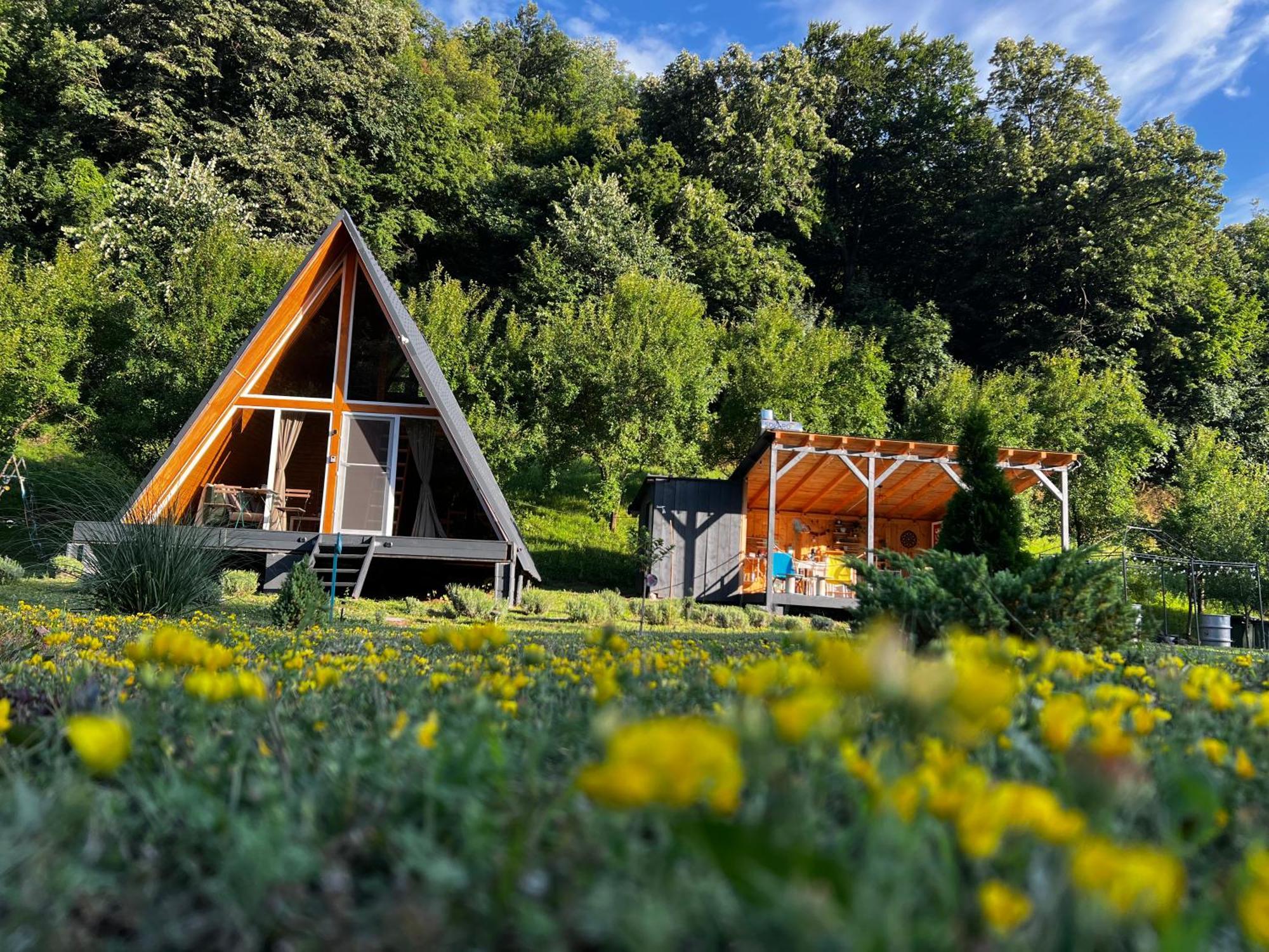 Cabane A-Frame Svinița Exterior foto